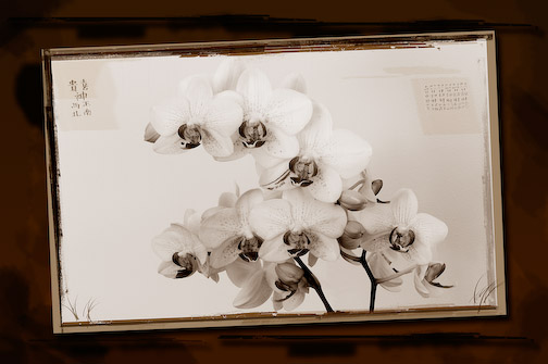 1/2 s à f / 14