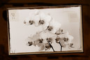 1/2 s à f / 14