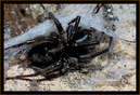 _DSC0002_DxO_raw