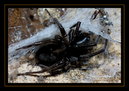_DSC0003_DxO_raw