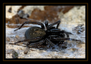 _DSC0004_DxO_raw